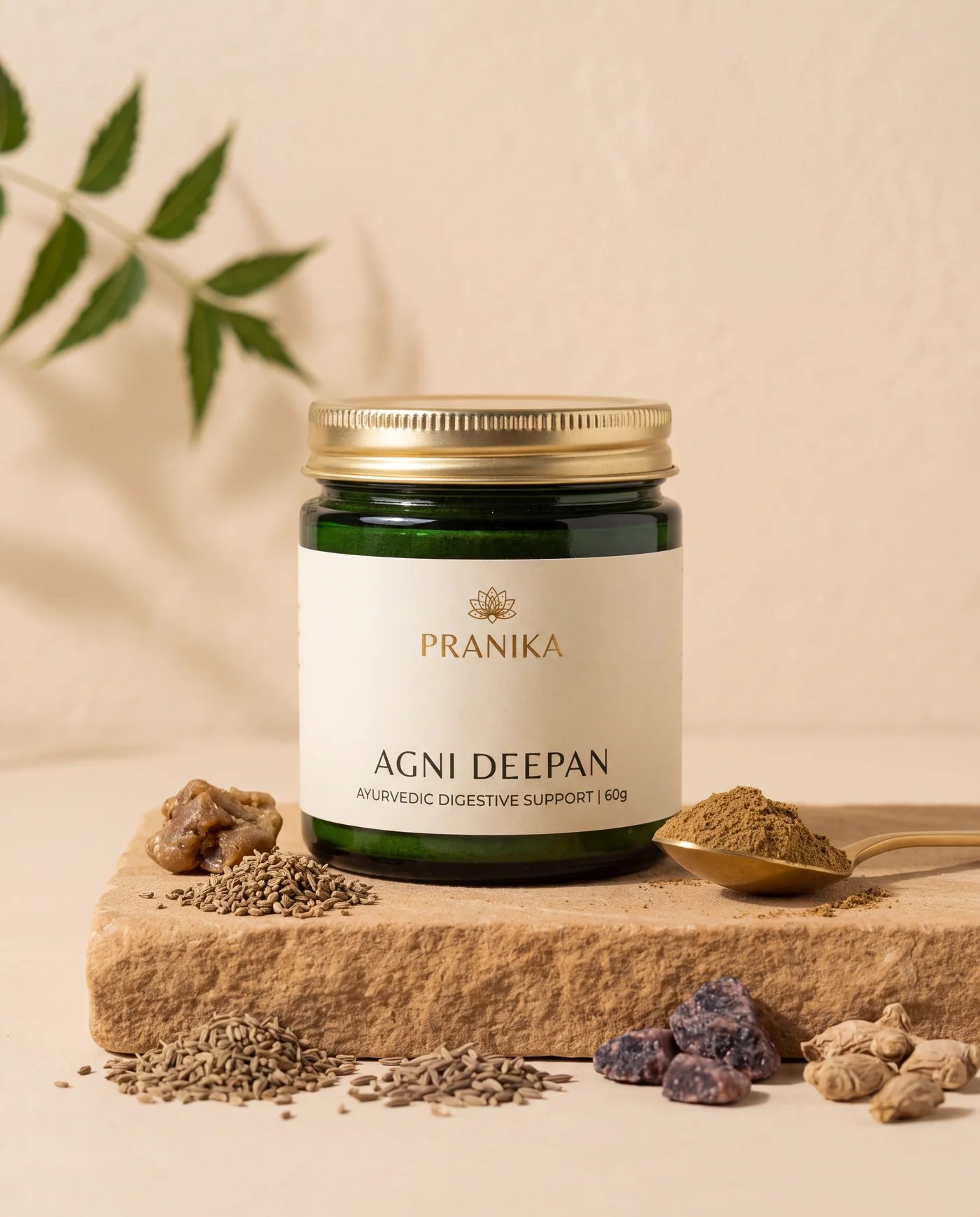 Agni Deepan Churna — Pranika Ayurveda
