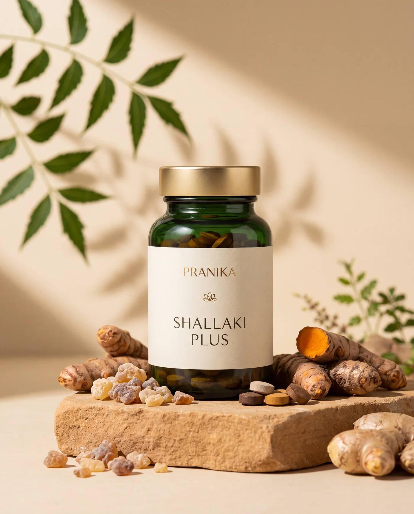 Shallaki Plus — Pranika Ayurveda